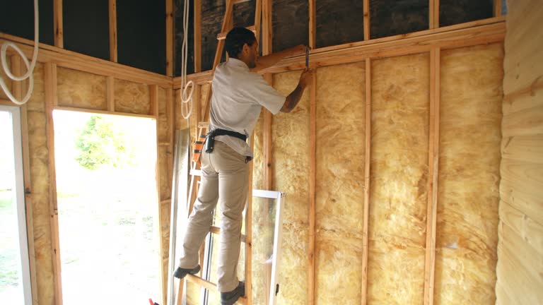 Best Fireproof Insulation  in Shawsville, VA