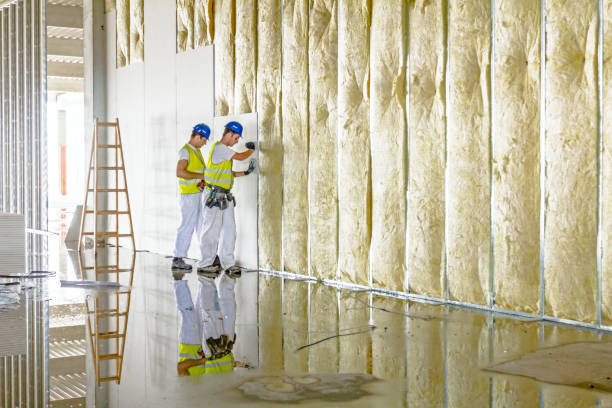 Best Wall Insulation Installation  in Shawsville, VA